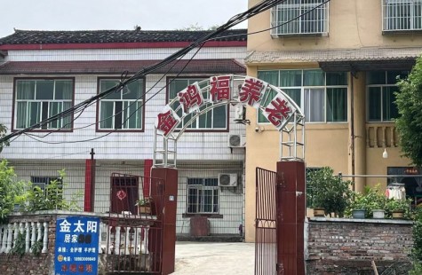 金鸿福养老