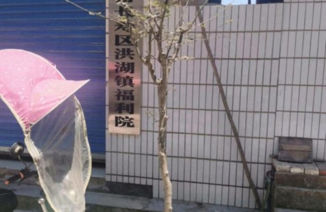 洪湖镇福利院